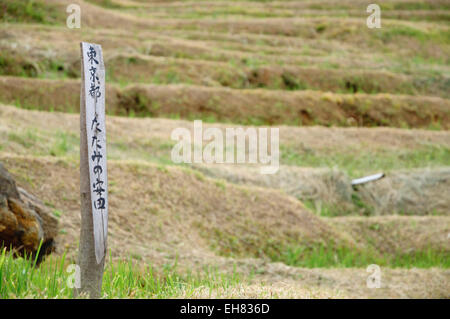 Poteau en bois dans les rizières, avec l'inscription indiquant le nom du propriétaire Banque D'Images