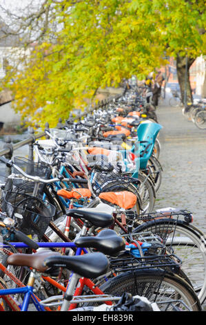 Scène typiquement scandinave - un grand nombre de bicyclettes garées sur le côté d'une rue pavée. Banque D'Images
