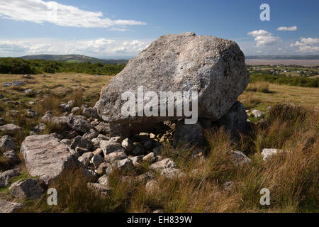 Arthur's Stone (Maen Ceti, Maen Cetty) un dolmen néolithique chambré, Péninsule de Gower, Swansea, Glamorgan, Pays de Galles, Royaume-Uni Banque D'Images