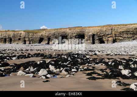 Col Huw Bay et Sea caves, Llantwit Major, la côte du Glamorgan, Vale of Glamorgan, Pays de Galles, Royaume-Uni. Banque D'Images