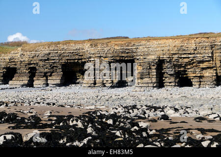 Col Huw Bay et Sea caves, Llantwit Major, la côte du Glamorgan, Vale of Glamorgan, Pays de Galles, Royaume-Uni. Banque D'Images