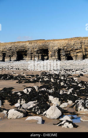 Col Huw Bay et Sea caves, Llantwit Major, la côte du Glamorgan, Vale of Glamorgan, Pays de Galles, Royaume-Uni. Banque D'Images