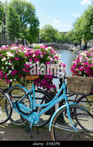 Des paniers de fleurs bleu location et sur un pont sur un canal, Utrechtsestraat, Amsterdam, Pays-Bas Banque D'Images