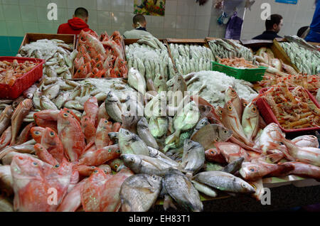 Les poissons fraîchement pêchés dans le marché aux poissons de Tanger, Tanger, Maroc, Afrique du Nord, Afrique Banque D'Images