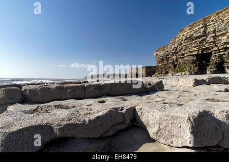 Col Huw Bay et Sea caves, Llantwit Major, la côte du Glamorgan, Vale of Glamorgan, Pays de Galles, Royaume-Uni. Banque D'Images