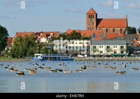 Port de la ville de Waren an der Müritz, le lac Müritz, Mecklembourg-Poméranie-Occidentale, Allemagne Banque D'Images