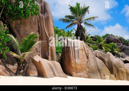 Les roches de granit et de palmiers sur la plage de Anse la Réunion, l'île de La Digue, La Digue et les Îles intérieures, Seychelles Banque D'Images