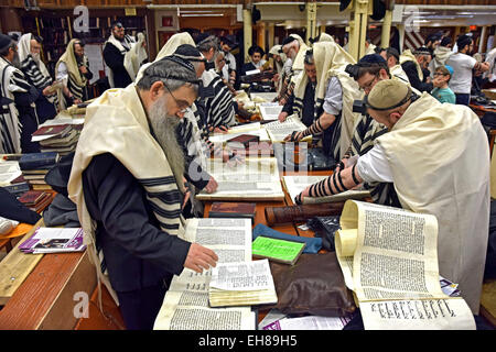 Un groupe d'hommes juifs religieux ultra lire la Méguila de Pourim dans une synagogue à Brooklyn, New York. Banque D'Images