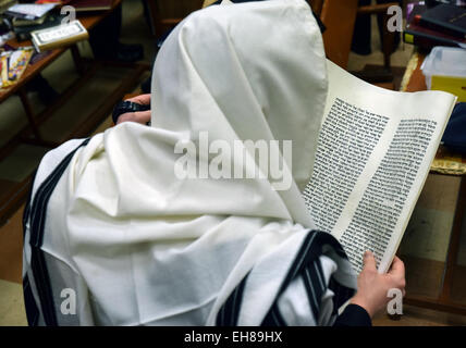 Un homme juif religieux photographiés par derrière la lecture de la Méguila de Pourim dans une synagogue à Brooklyn, New York. Banque D'Images