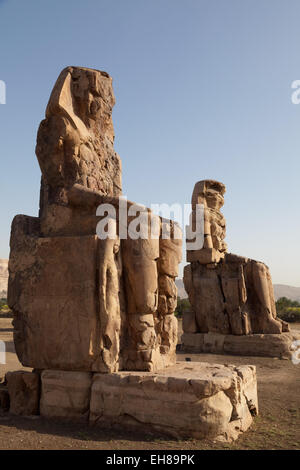 Les anciens colosses de Memnon près de Louxor, Thèbes, Site du patrimoine mondial de l'UNESCO, l'Égypte, l'Afrique du Nord, Afrique Banque D'Images