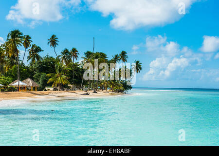 Plage de sable fin et de palmiers de Pigeon Point, Tobago, Trinité-et-Tobago, Antilles, Caraïbes, Amérique Centrale Banque D'Images