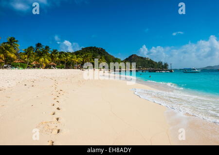 Plage de sable blanc bordée de cocotiers sur Palm Island, les Grenadines, îles du Vent, Antilles, Caraïbes Banque D'Images