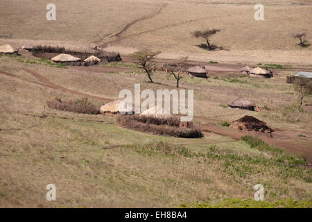 Entouré de huttes masaï Enkang barrière formée par un épais "ronde" clôture des épines sur les plaines de la zone de conservation de Ngorongoro cratère dans la région des hautes terres de Tanzanie Afrique de l'Est Banque D'Images