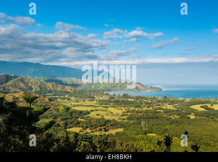 Paysage hawaïen, au-dessus de la baie de Hanalei et des montagnes Na Pali depuis Okolehao Trail près de Hanalei, Kauai Banque D'Images