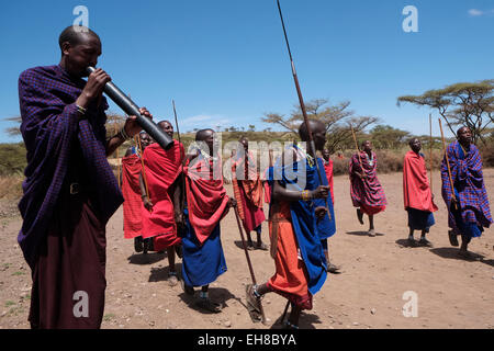 Un groupe de guerriers Massaïs effectuer une sorte de mars-passé lors de la traditionnelle cérémonie Eunoto effectuée dans une cérémonie de passage à l'âge adulte pour les jeunes guerriers dans la tribu Masaï dans la zone de conservation de Ngorongoro cratère dans la région des hautes terres de Tanzanie Afrique de l'Est Banque D'Images