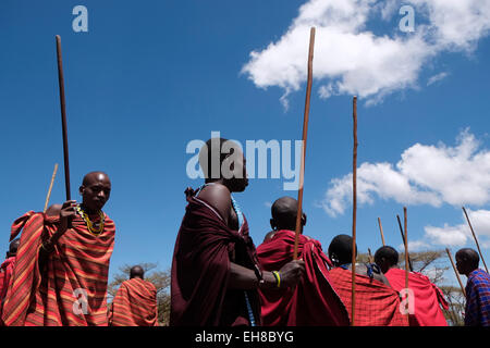 Un groupe de guerriers Massaïs effectuer une sorte de mars-passé lors de la traditionnelle cérémonie Eunoto effectuée dans une cérémonie de passage à l'âge adulte pour les jeunes guerriers dans la tribu Masaï dans la zone de conservation de Ngorongoro cratère dans la région des hautes terres de Tanzanie Afrique de l'Est Banque D'Images