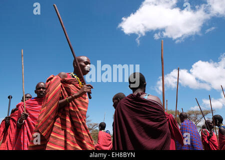 Un groupe de guerriers Massaïs effectuer une sorte de mars-passé lors de la traditionnelle cérémonie Eunoto effectuée dans une cérémonie de passage à l'âge adulte pour les jeunes guerriers dans la tribu Masaï dans la zone de conservation de Ngorongoro cratère dans la région des hautes terres de Tanzanie Afrique de l'Est Banque D'Images