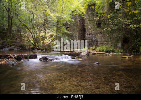 Kennal Vale Nature réserver paysage. Banque D'Images