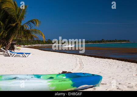 Une plage de sable blanc sur la baie de Soliman, au Mexique Banque D'Images