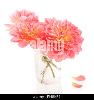 Dahlia d'été bouquet dans un pot de confiture en verre bouquet. Banque D'Images
