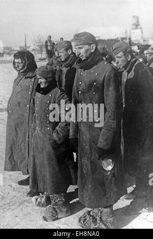 Bataille de Stalingrad Août 1942-février 1943) soldats allemands capturés Banque D'Images