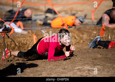 Les participants concourent dans les cas difficiles Mudder, connu comme le premier ministre de la course à obstacles dans le monde à Milton, en Floride Banque D'Images