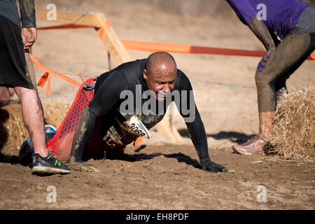 Les participants concourent dans les cas difficiles Mudder, connu comme le premier ministre de la course à obstacles dans le monde à Milton, en Floride Banque D'Images