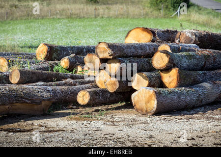 Grumes d'arbres empilés près de Dordogne France, Europe Banque D'Images