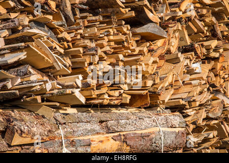 Tas de bois pour la gravure ou le chauffage en forêt, Dordogne, France, Europe Banque D'Images