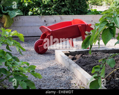 Une brouette en bois rouge vif dans un potager avec de grands lits surélevés et sentiers en gravier. Banque D'Images