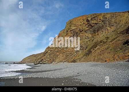 Millook , Cornwall. Les falaises d'afficher une série de plis couchés chevron et défauts, considéré comme le meilleur exemple au Royaume-Uni. Banque D'Images