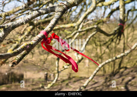 Avebury Wiltshire Angleterre un cercle en pierre comprend ce petit village du Wiltshire un chiffon attaché à un arbre, pour faire un voeu,