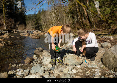 Neuf ans, fille, et son frère âgé de sept ans à la recherche d'insectes en tournant sur les rochers, North Bend, Oregon, USA Banque D'Images