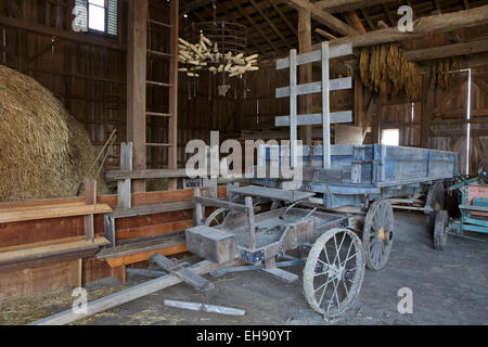 Le vieux bois, de chariot tiré par des chevaux. Banque D'Images