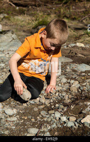 Sept ans à la recherche d'insectes en tournant sur des rochers, dans Olallie State Park, North Bend, Oregon, USA Banque D'Images