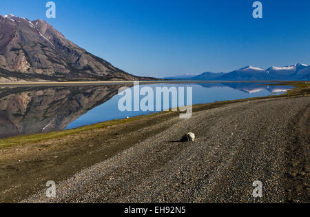 (Mont-sheep Mont-sheep) se reflétant dans le lac Kluane avec le Ruby Range dans la distance, Territoire du Yukon, Canada Banque D'Images