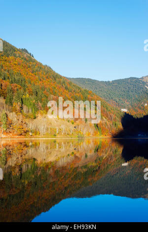 Europe, France, Haute Savoie, Rhone Alpes, Morzine, Lac de Montriond, lac alpin Banque D'Images