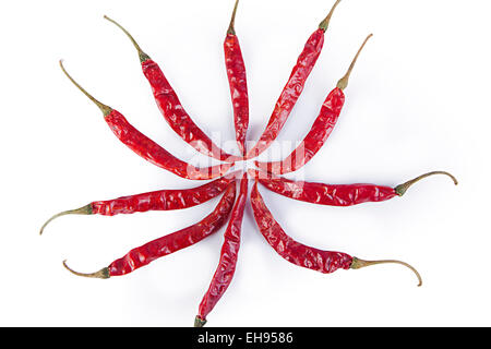 Piment rouge frais l'Organisation de la qualité de l'alimentation et de la nutrition personne n Banque D'Images