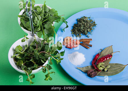 Variation de l'abondance charrettes Masale organisant la plaque d'Aliments et nutrition qualité personne n Banque D'Images