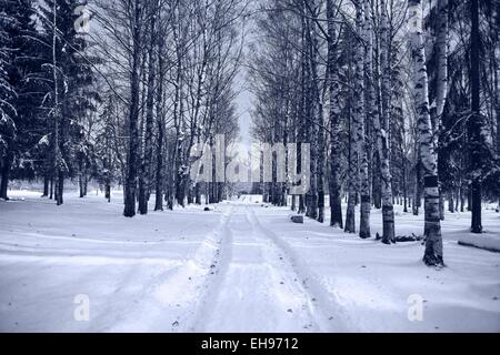 La route d'hiver paysage in snowy forest Banque D'Images