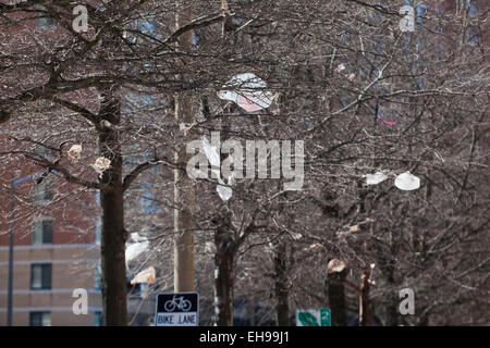 Sacs en plastique pris dans les arbres - USA Banque D'Images