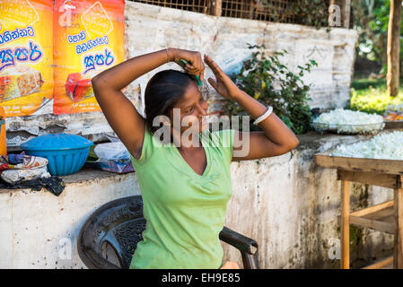 Femme vendant des fleurs nénuphar pour offrir, Anuradhapura, Sri Lanka, Asie Banque D'Images