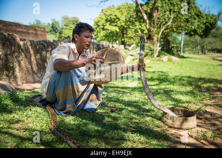 Sri Lanka - Anuradhapur monastère, charmeur de serpent Banque D'Images