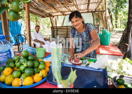 Vendeur de jus frais locaux, Anuradhapura, Sri Lanka, Asie Banque D'Images