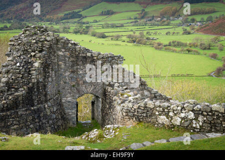 Castell y Bere Dysynni Valley Gwynedd au Pays de Galles Banque D'Images