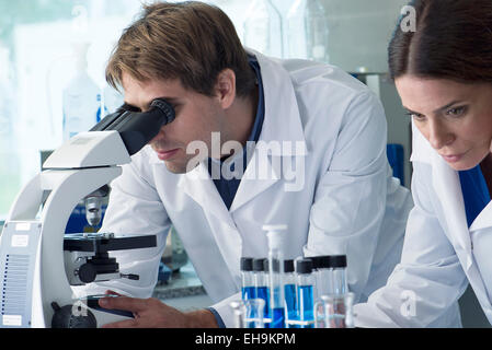 Les scientifiques travaillant dans les laboratoires Banque D'Images
