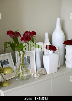 White, des vases, des fleurs et des photos sur la tablette, maison d'habitation, Port Hall Street, Brighton, East Sussex, UK Banque D'Images