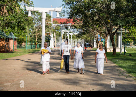 Les gens priaient à Sri Maha Bodhi (arbre de bodhi sacré), Anuradhapura, Sri Lanka, Banque D'Images