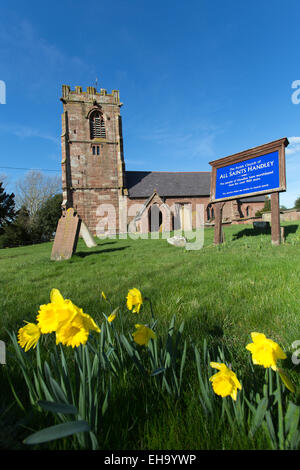 Village de Handley, Angleterre. Vue pittoresque du printemps de Handley All Saints Church. Banque D'Images