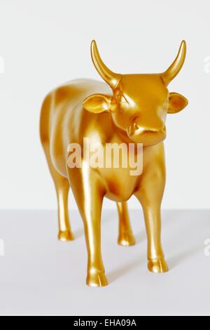 Bulle d'or/vache, HIGH RES, 36MPX. Banque D'Images